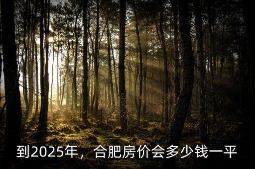 到2025年，合肥房?jī)r(jià)會(huì)多少錢一平