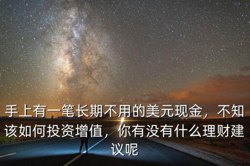 手上有一筆長(zhǎng)期不用的美元現(xiàn)金，不知該如何投資增值，你有沒有什么理財(cái)建議呢