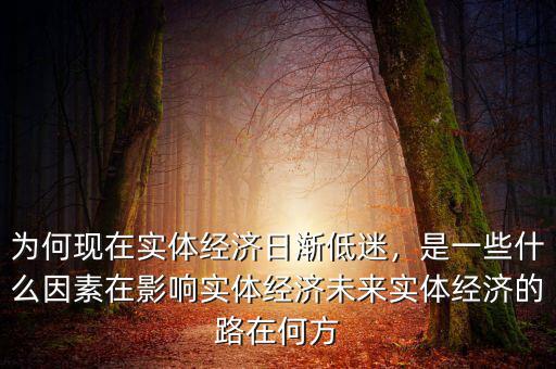 為何現(xiàn)在實(shí)體經(jīng)濟(jì)日漸低迷，是一些什么因素在影響實(shí)體經(jīng)濟(jì)未來實(shí)體經(jīng)濟(jì)的路在何方