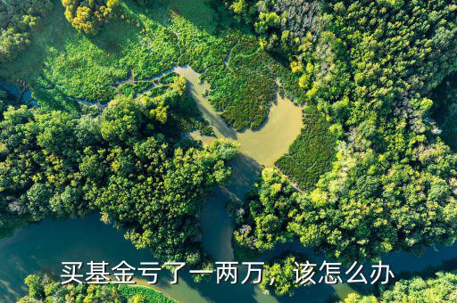 買基金虧了一兩萬，該怎么辦