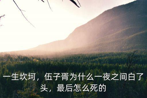一生坎坷，伍子胥為什么一夜之間白了頭，最后怎么死的