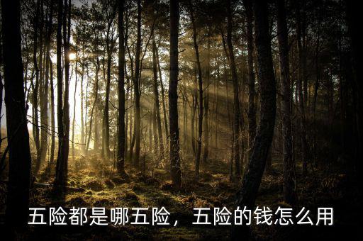 五險(xiǎn)都是哪五險(xiǎn)，五險(xiǎn)的錢怎么用