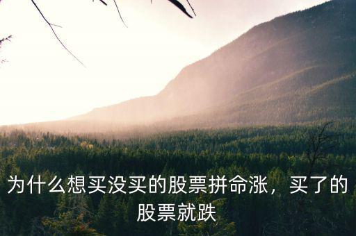 股票為什么沒(méi)人買(mǎi)還會(huì)跌,為什么想買(mǎi)沒(méi)買(mǎi)的股票拼命漲