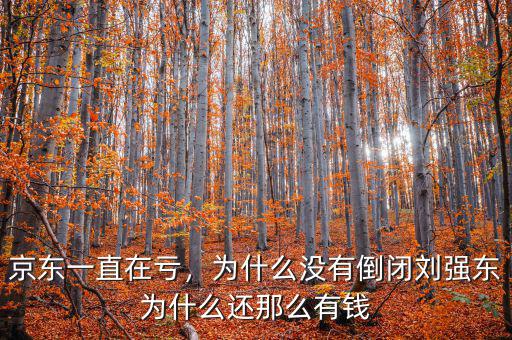 京東一直在虧，為什么沒有倒閉劉強(qiáng)東為什么還那么有錢