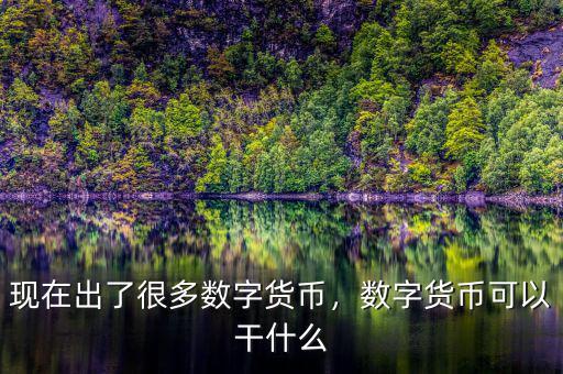 現(xiàn)在出了很多數(shù)字貨幣，數(shù)字貨幣可以干什么
