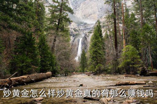 為什么要炒黃金,炒黃金真的有那么賺錢(qián)嗎