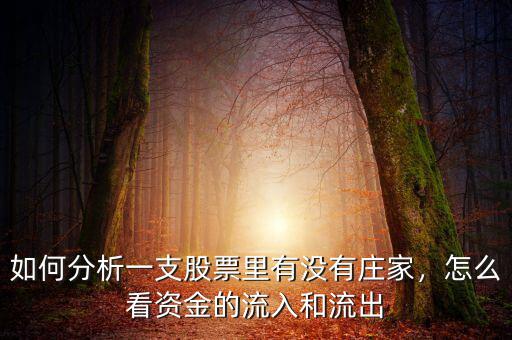 如何分析一支股票里有沒有莊家，怎么看資金的流入和流出