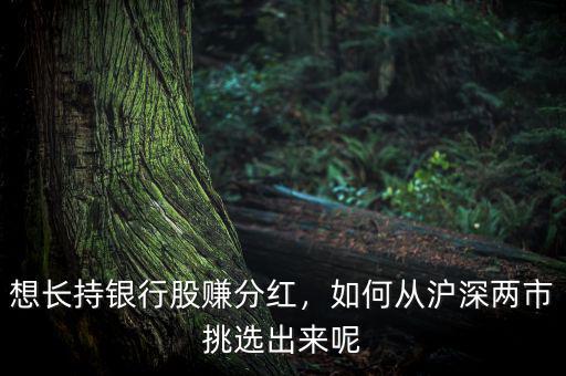 想長持銀行股賺分紅，如何從滬深兩市挑選出來呢