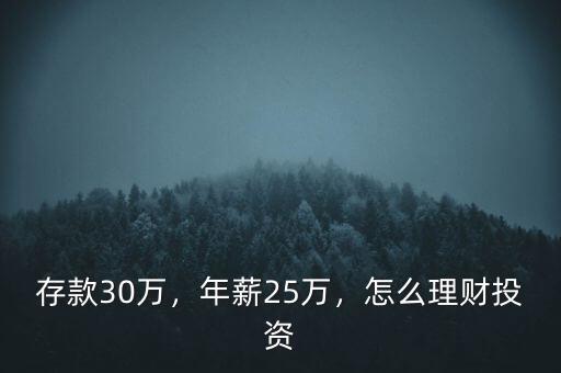 存款30萬，年薪25萬，怎么理財(cái)投資