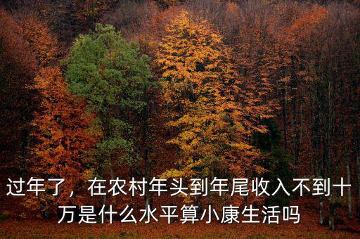 過(guò)年了，在農(nóng)村年頭到年尾收入不到十萬(wàn)是什么水平算小康生活嗎