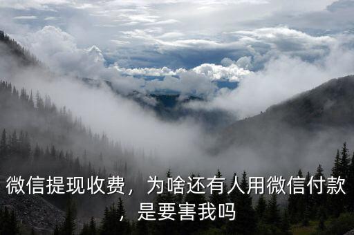 微信提現(xiàn)收費，為啥還有人用微信付款，是要害我嗎