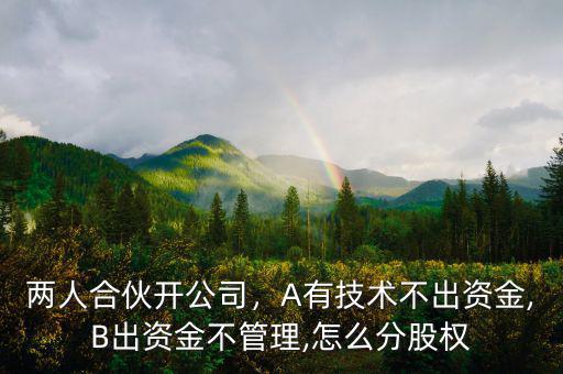 兩人合伙開公司，A有技術(shù)不出資金,B出資金不管理,怎么分股權(quán)