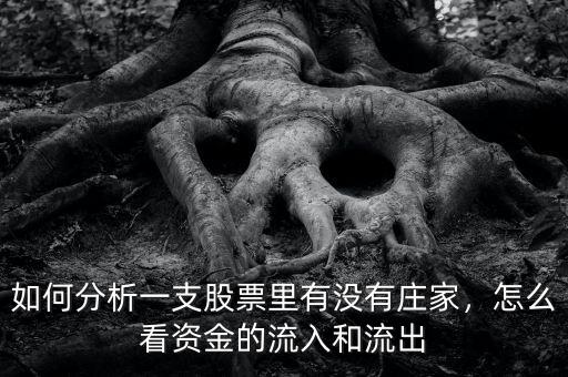 如何分析一支股票里有沒有莊家，怎么看資金的流入和流出