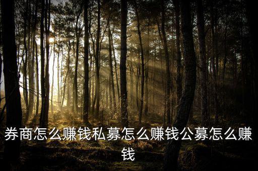 券商怎么賺錢(qián)私募怎么賺錢(qián)公募怎么賺錢(qián)