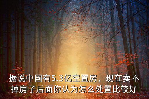 據(jù)說(shuō)中國(guó)有5.3億空置房，現(xiàn)在賣(mài)不掉房子后面你認(rèn)為怎么處置比較好