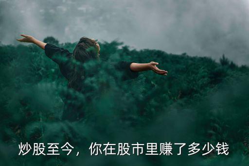 炒股至今，你在股市里賺了多少錢
