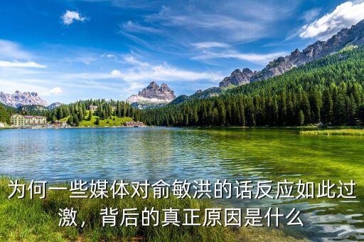 為何一些媒體對俞敏洪的話反應(yīng)如此過激，背后的真正原因是什么