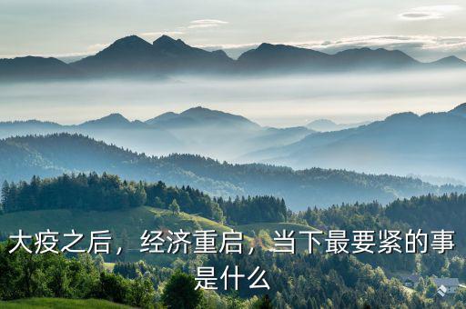 大疫之后，經(jīng)濟重啟，當下最要緊的事是什么