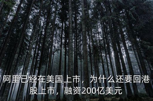 阿里已經在美國上市，為什么還要回港股上市，融資200億美元