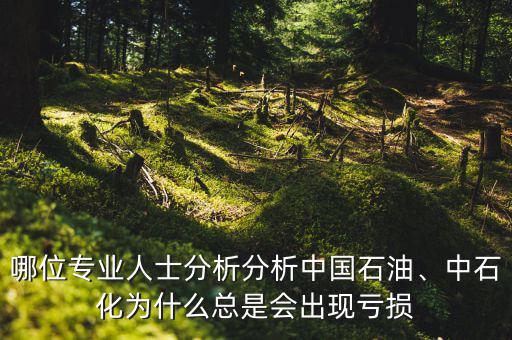 哪位專業(yè)人士分析分析中國石油、中石化為什么總是會出現(xiàn)虧損