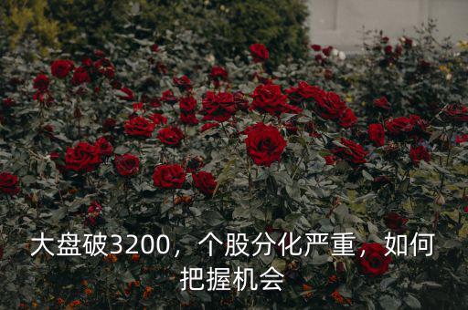 大盤破3200，個(gè)股分化嚴(yán)重，如何把握機(jī)會(huì)