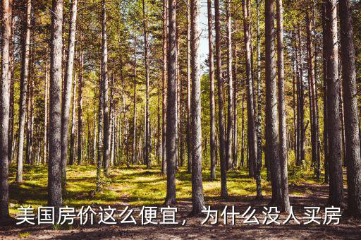美國房價(jià)這么便宜，為什么沒人買房
