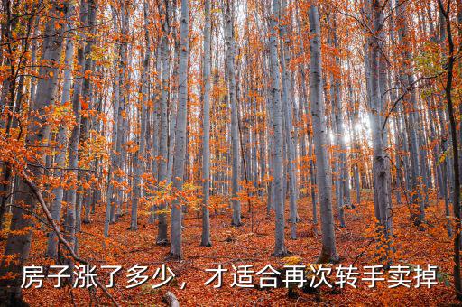 房子漲了多少，才適合再次轉(zhuǎn)手賣掉