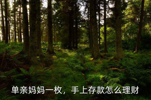 單親媽媽一枚，手上存款怎么理財(cái)