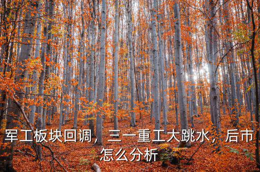 軍工板塊回調(diào)，三一重工大跳水，后市怎么分析