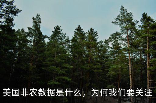 美國非農(nóng)數(shù)據(jù)是什么，為何我們要關(guān)注