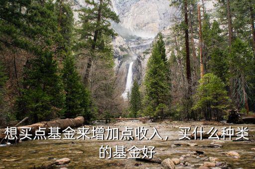 想買點(diǎn)基金來(lái)增加點(diǎn)收入，買什么種類的基金好