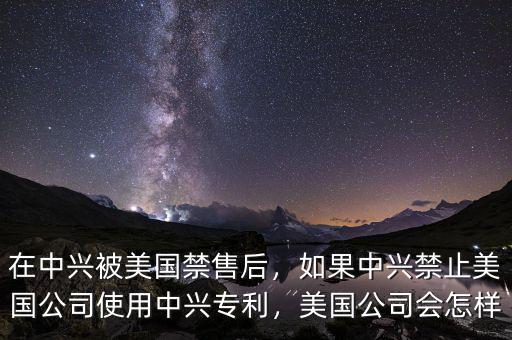 在中興被美國禁售后，如果中興禁止美國公司使用中興專利，美國公司會怎樣