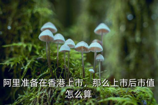阿里準(zhǔn)備在香港上市，那么上市后市值怎么算