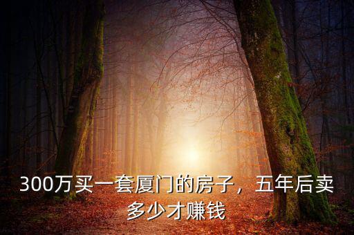 300萬買一套廈門的房子，五年后賣多少才賺錢