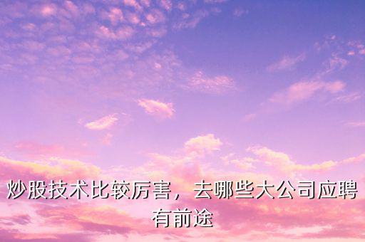 炒股技術(shù)比較厲害，去哪些大公司應(yīng)聘有前途