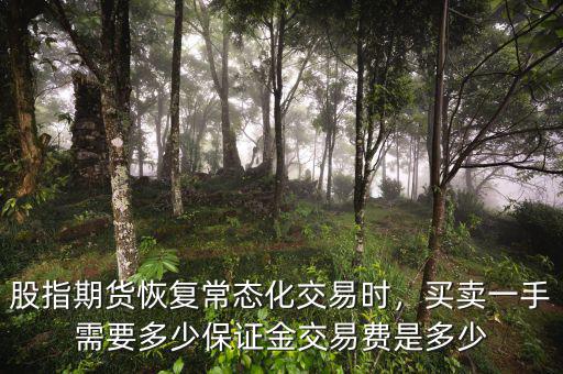 股指期貨恢復(fù)常態(tài)化交易時(shí)，買賣一手需要多少保證金交易費(fèi)是多少