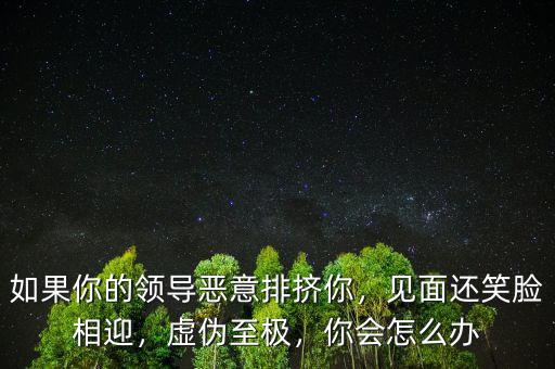 如果你的領(lǐng)導(dǎo)惡意排擠你，見面還笑臉相迎，虛偽至極，你會怎么辦