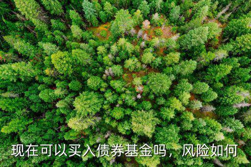 現(xiàn)在可以買入債券基金嗎，風(fēng)險(xiǎn)如何