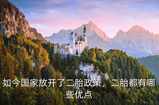 如今國家放開了二胎政策，二胎都有哪些優(yōu)點(diǎn)