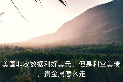 美國(guó)非農(nóng)數(shù)據(jù)利好美元，但是利空美債，貴金屬怎么走