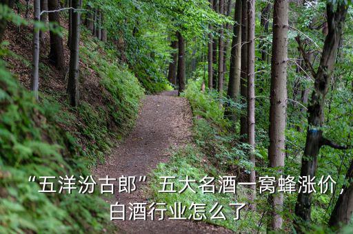 “五洋汾古郎”五大名酒一窩蜂漲價(jià)，白酒行業(yè)怎么了