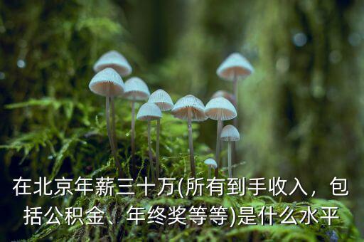 在北京年薪三十萬(所有到手收入，包括公積金、年終獎等等)是什么水平