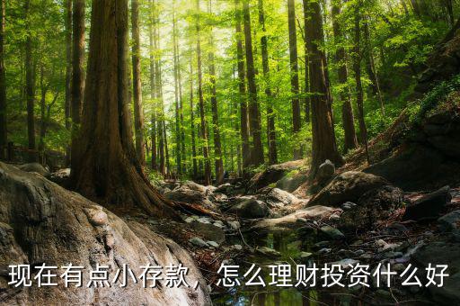 現(xiàn)在有點小存款，怎么理財投資什么好