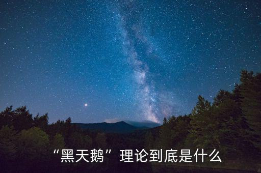 黑天鵝到底是要說(shuō)明了什么,什么是黑天鵝事件