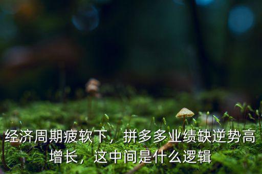 經(jīng)濟(jì)周期疲軟下，拼多多業(yè)績?nèi)蹦鎰莞咴鲩L，這中間是什么邏輯