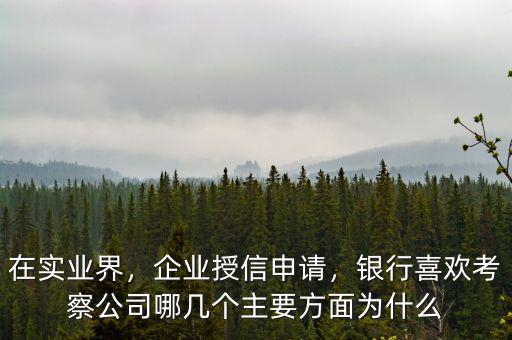 在實業(yè)界，企業(yè)授信申請，銀行喜歡考察公司哪幾個主要方面為什么