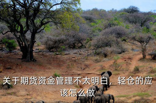 關(guān)于期貨資金管理不太明白，輕倉的應(yīng)該怎么做