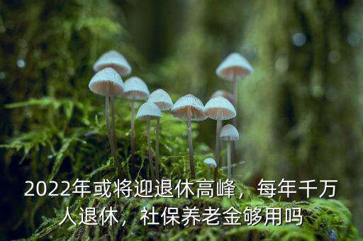 2022年或?qū)⒂诵莞叻?，每年千萬(wàn)人退休，社保養(yǎng)老金夠用嗎