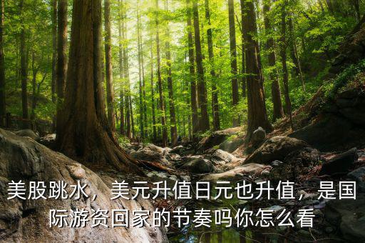 美股跳水，美元升值日元也升值，是國(guó)際游資回家的節(jié)奏嗎你怎么看