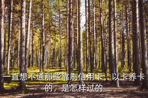 一直想不通那些靠刷信用卡，以卡養(yǎng)卡的，是怎樣過的
